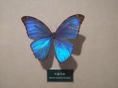 -陕西自然博物馆