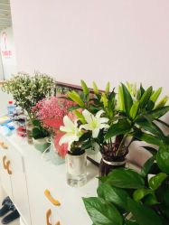 -艺佳舞蹈培训学校