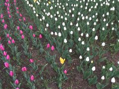 -长春公园(普阳街道)