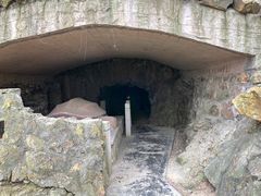 -上海佘山国家森林公园天马山园