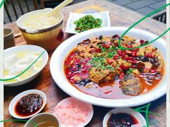 -龙翔山庄雷鸡肉(青城后山泰安古镇店)