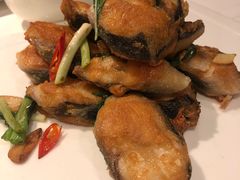 金不换煎焗白鳝-博多新记·粤菜(复兴店)