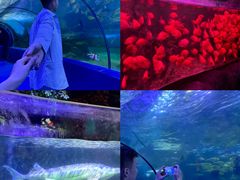 -左海海底世界