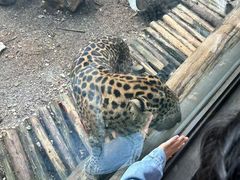 -昆明动物园