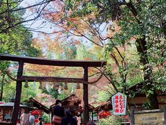 -野宫神社