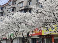 -永乐路-路侧停车场