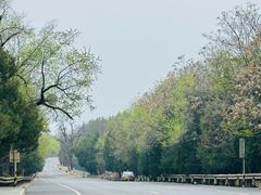 -十三陵水库