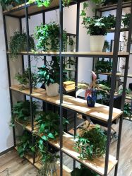 -曼都发型·臻选