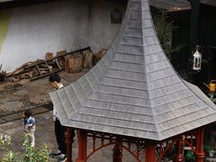 -三鹰之森吉卜力美术馆