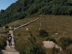 -白草畔自然风景区