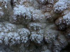 -湖南省地质博物馆