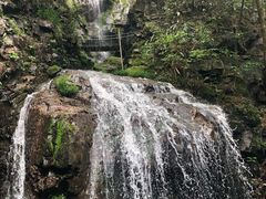 -藏龙百瀑风景区
