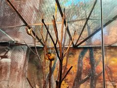 -泉城欧乐堡海洋极地世界