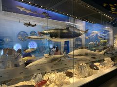 -舟山博物馆