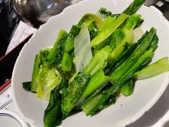 莴笋叶-壹盏灯(惠农店)