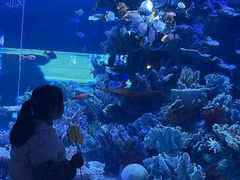 -左海海底世界