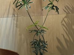 -梅花境(万科店)