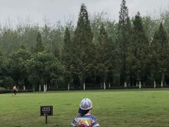 -合肥滨湖国家森林公园