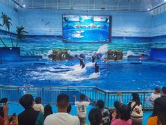 -多彩贵州城极地海洋世界