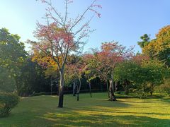 -晓港公园