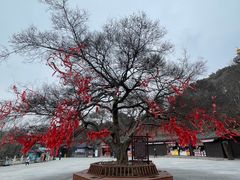-句容茅山景区