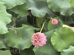 -南宁市凤岭儿童公园