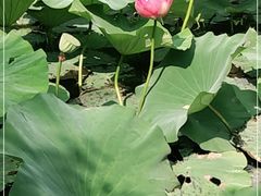 -长春世界雕塑园冰雪艺术天地