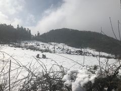 -武陵山森林公园