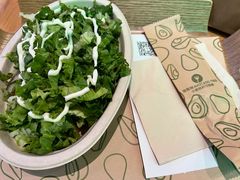 -油梨树AVOCADO TREE(望京店)