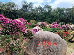 -三亚蜈支洲岛旅游区