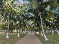 -白沙门生态公园