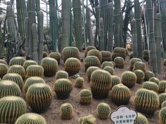 -南山植物园