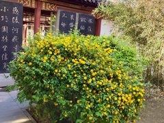 -碑林公园