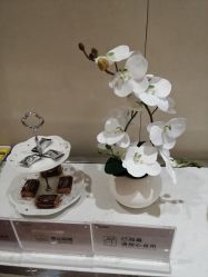 -Yestar艺星医疗美容医院