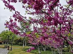 -杭州城北体育公园