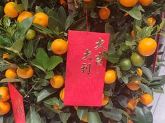 -广州酒家(文昌总店)