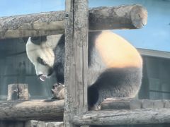 -大连森林动物园