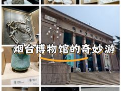 -烟台市博物馆
