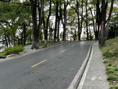 -缙云山景区
