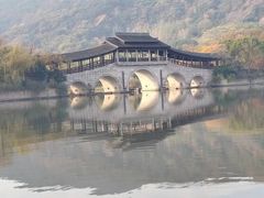 -长广溪湿地公园