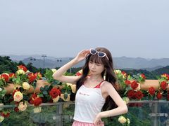 -王莽岭风景区