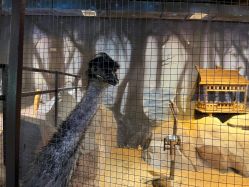 -酷嗒动物文化乐园(cutezoo西溪乐天城店)