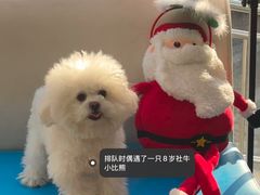 -美联众合爱康动物医院•复杂内科•肿瘤科•牙科•腔镜诊疗中心