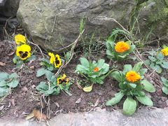 -驿舍·民國老营房院子私房菜(科学会堂店)