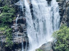 -海南热带雨林国家公园吊罗山景区