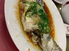海鲈鱼-蛇平饭店(明园路店)