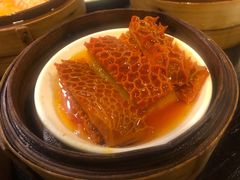 -添运来(茶园奥园广场店)