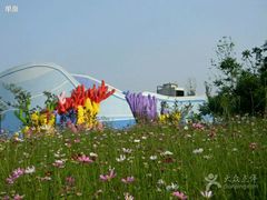 android_upload_pic-北戴河圣蓝海洋公园