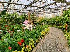 -南宫五洲植物乐园