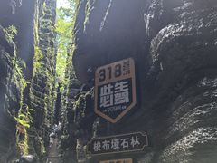 -梭布垭石林景区